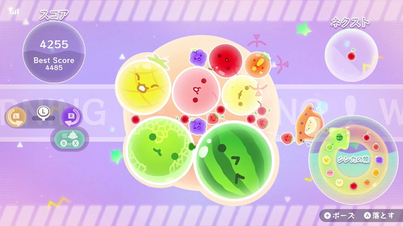 ぷらねっとダブルスイカ-01